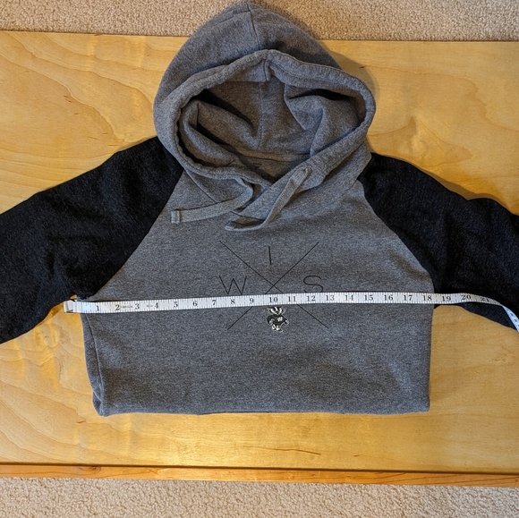 Fanatics Wisconsin Badgers hoodie - Picture 4 of 6